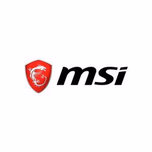 msi